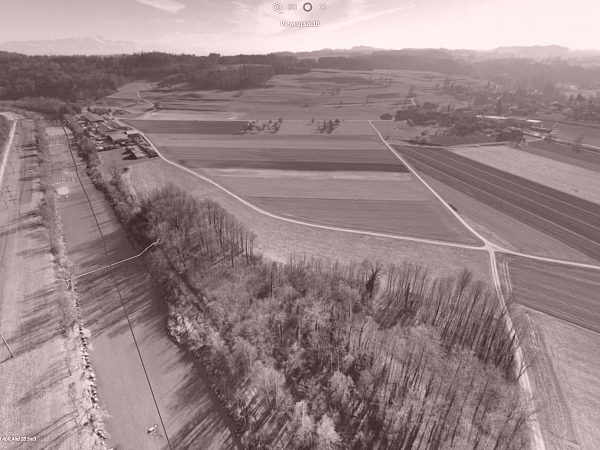 ThurView - Beispiel einer Panoramabildaufnahme im Bereich Buhwil / Sulgen mit uneingeschränktem 360°-Rundumblick.